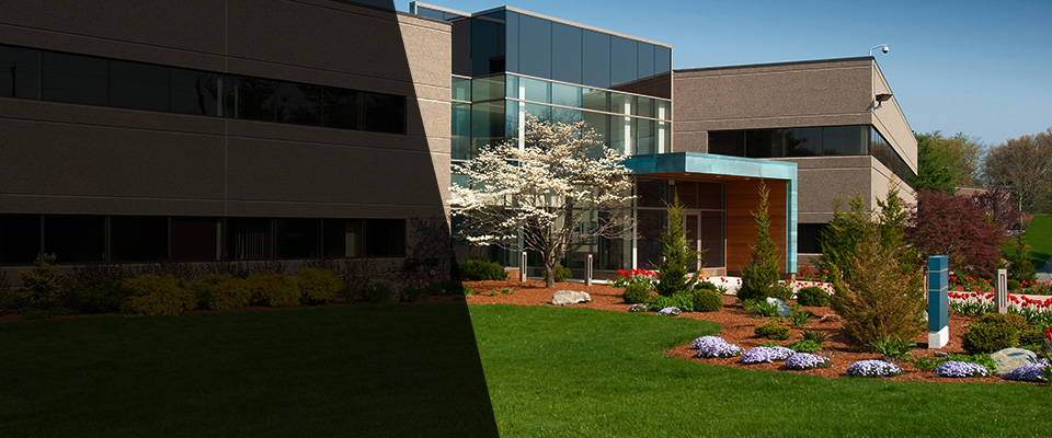 Glen Cove Landscapers