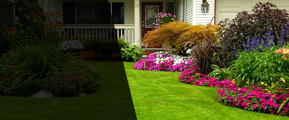 Glen Cove Landscapers