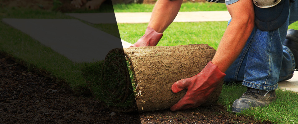 Glen Cove Landscapers